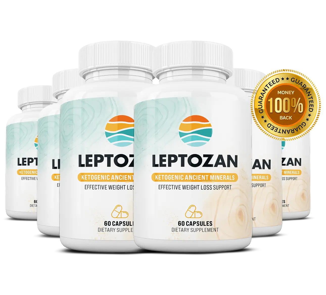 Lepto Zan 6 Bottles